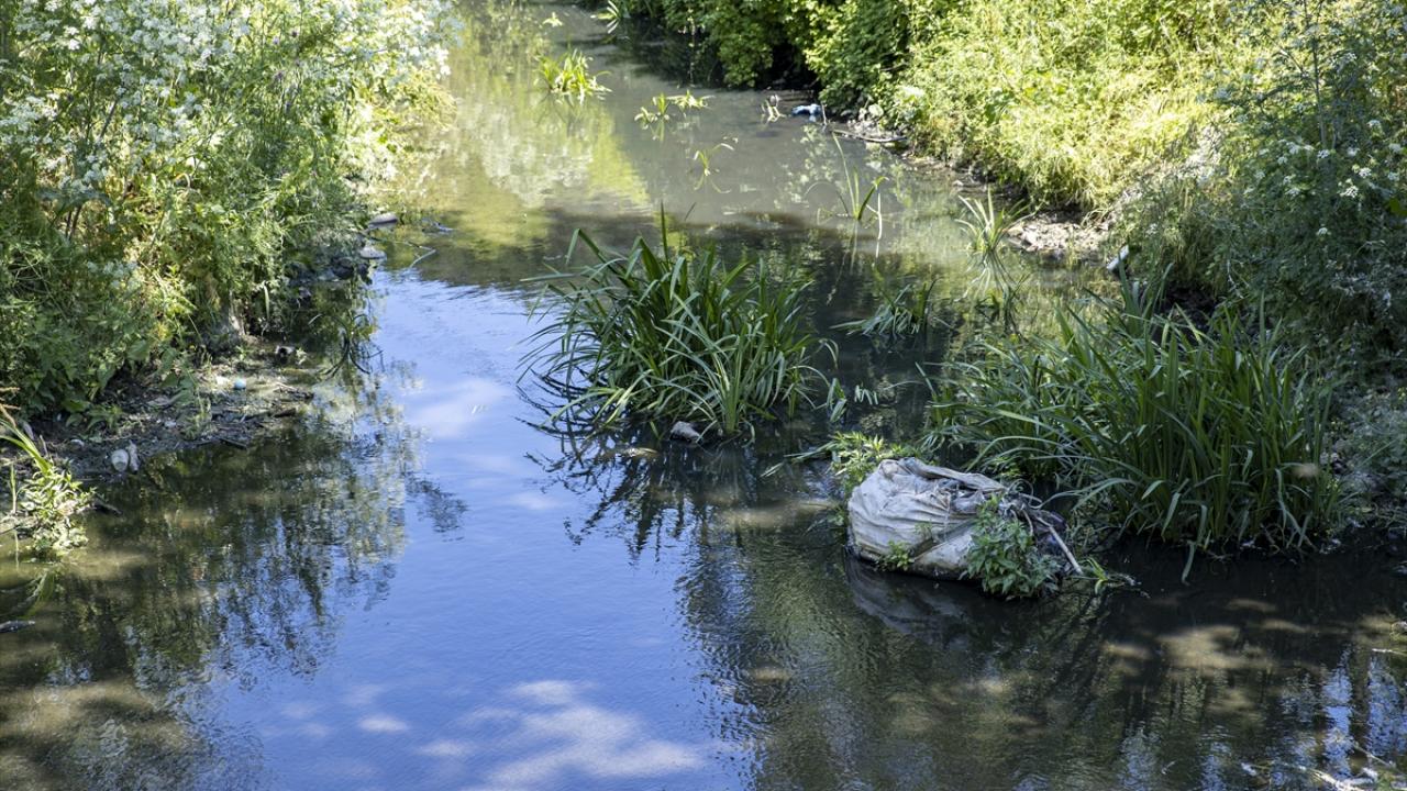 Veliler çocuklarının sağlığı için endişeli