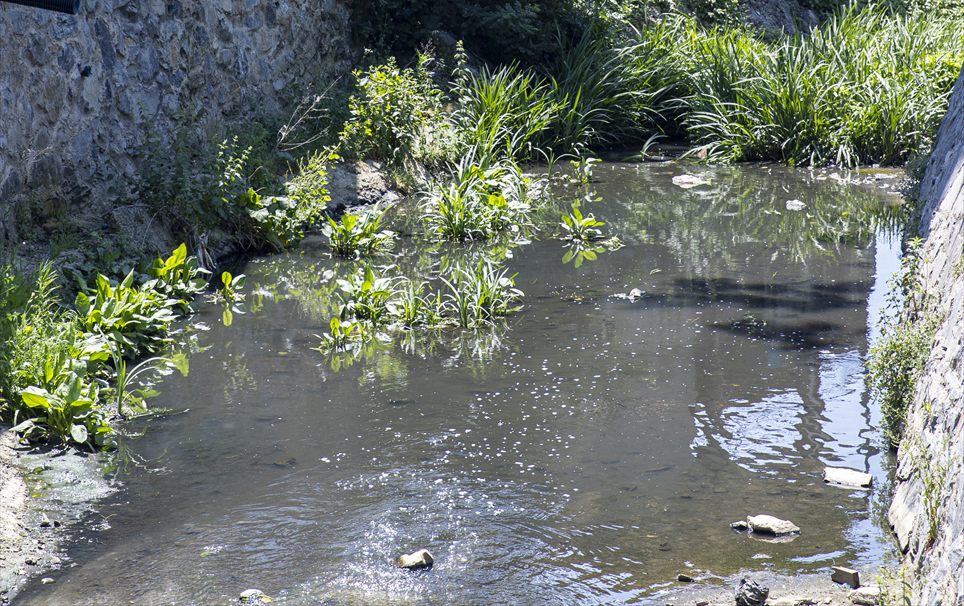 Okulda salgın başladığı iddiası