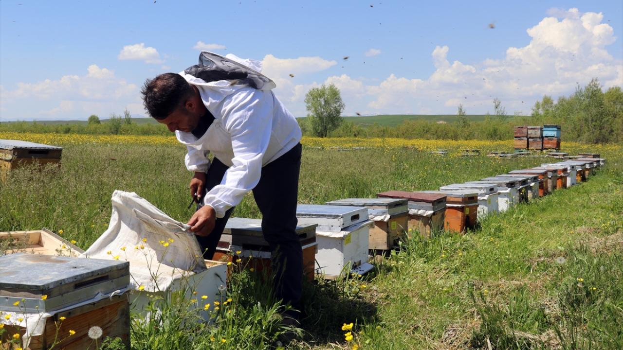 "Balımız çok ilgi odağı olduğu için taleplere yetişemiyoruz"