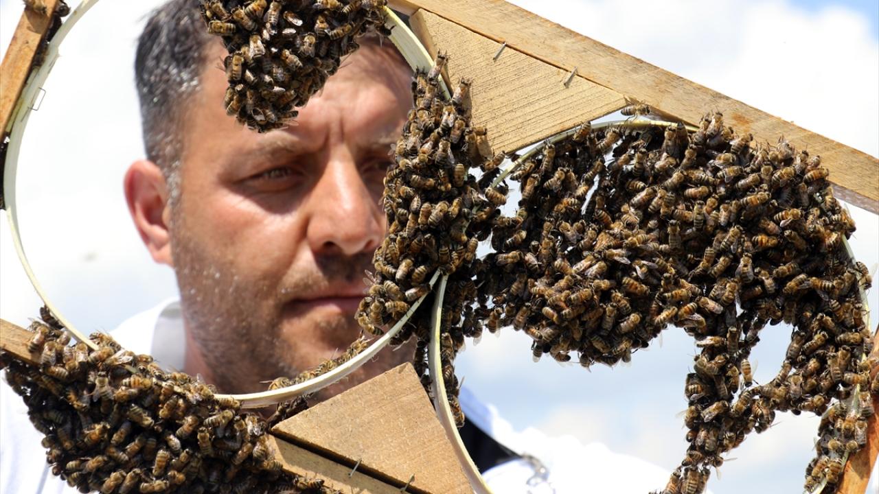 Hava temiz, rakım yüksek olunca bal da kaliteli oluyor