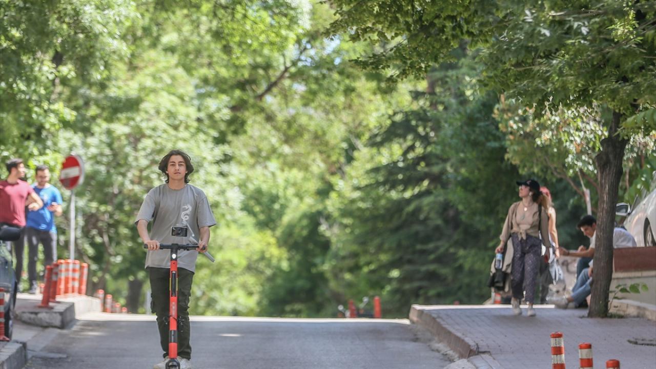 "Sokaklarda arabalar çok önemsemiyor"