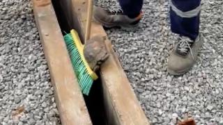 Su depolarının arasına sıkışan kaplumbağayı kurtardılar