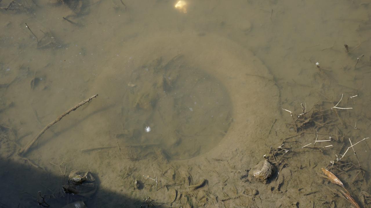 Otomobil lastiği, plastik atıklar ve çöpler görenleri şaşırtıyor