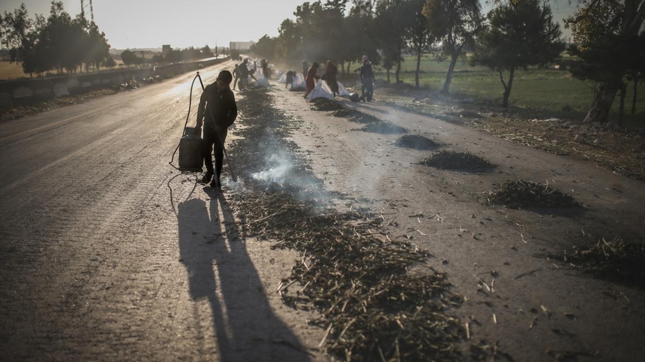 "Bu işi 50 kişiyle yapıyoruz"