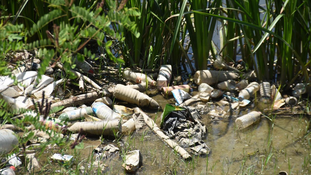 "Onları göreve çağırıyorum"