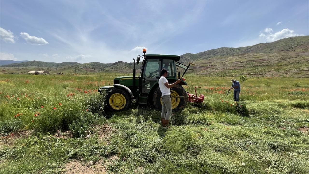 "Gecemizi gündüzümüze katarak çalışıyoruz"