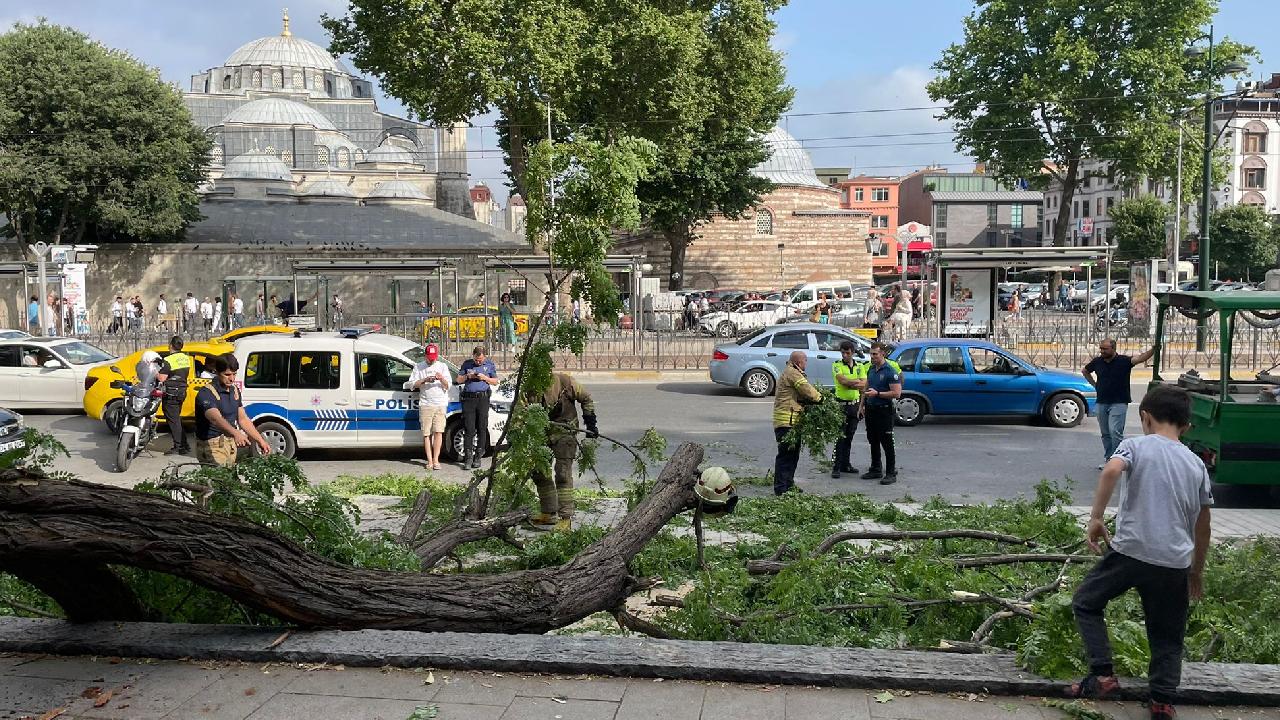 Beyoğlu'nda ağaç devrildi: 3 yaralı