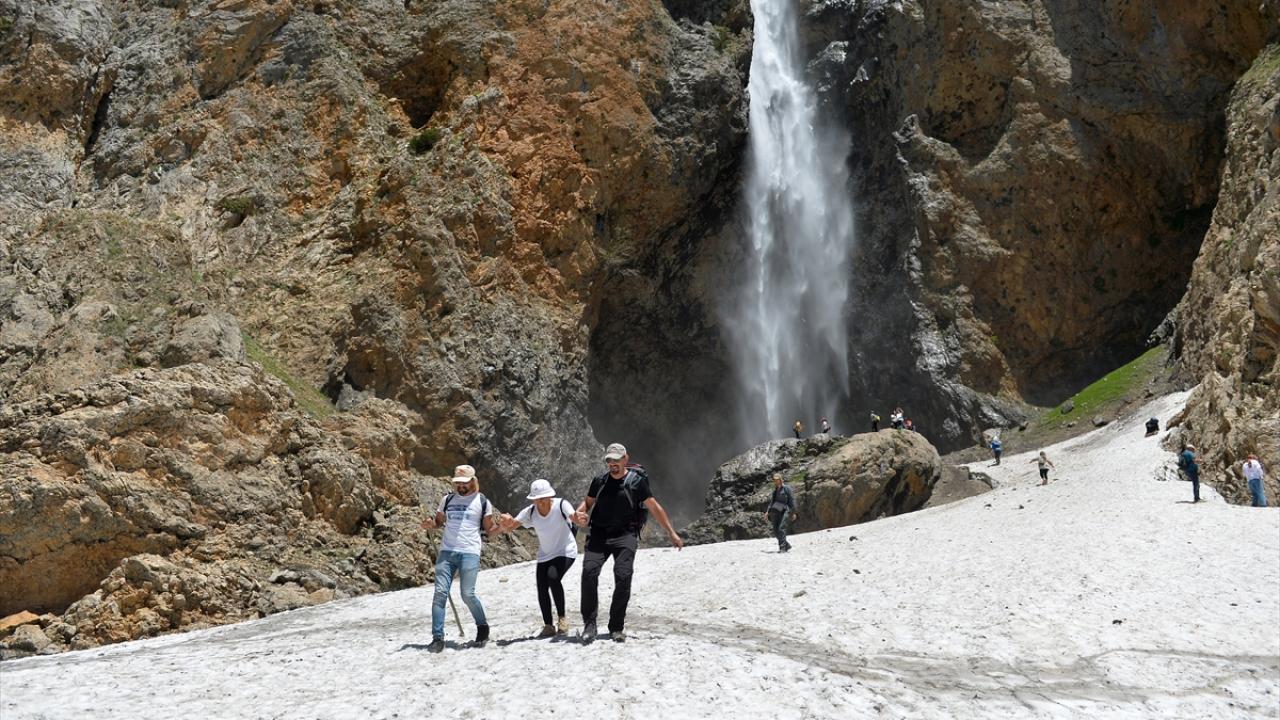 Yaban keçilerini görüyorlar