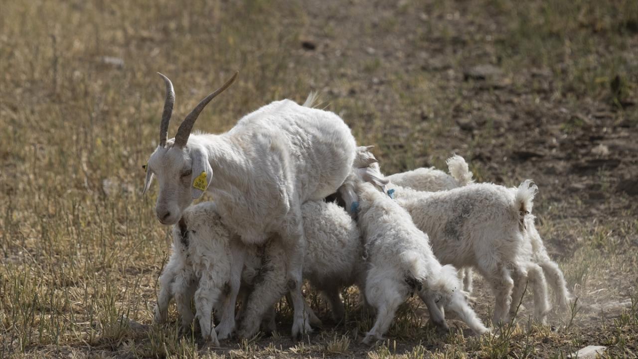 "Bunun her şeyi bir heyecandır"