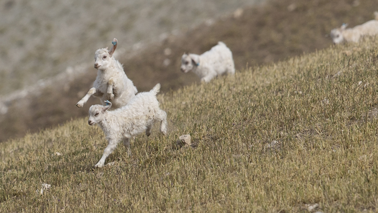 İlk 15 gün anne sütü yeterli