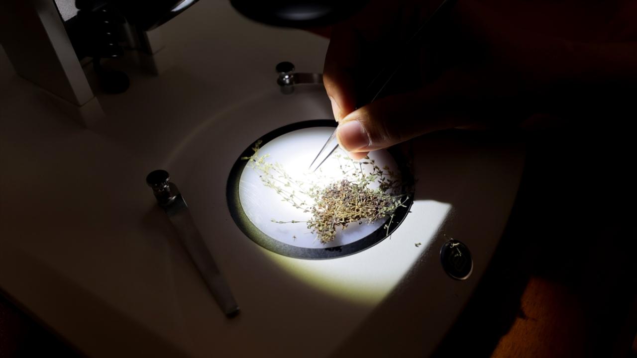 "120 birey oldukça az"