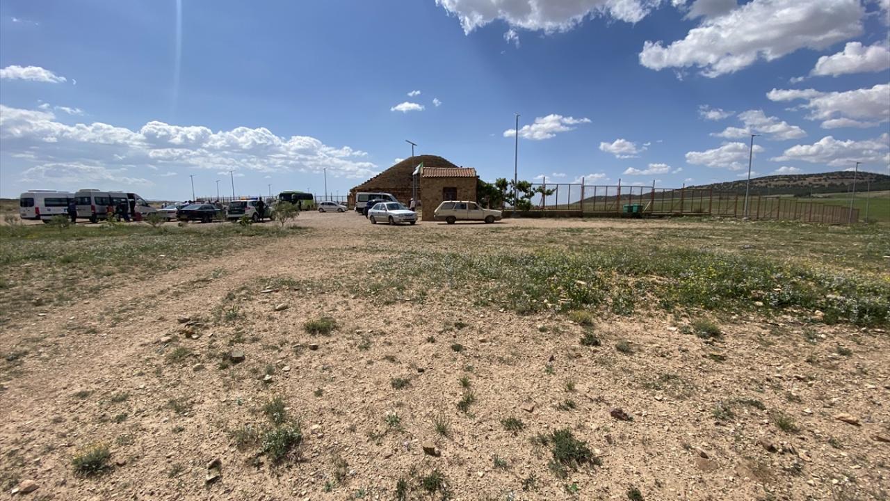 Amazig medeniyetine ışık tutuyor