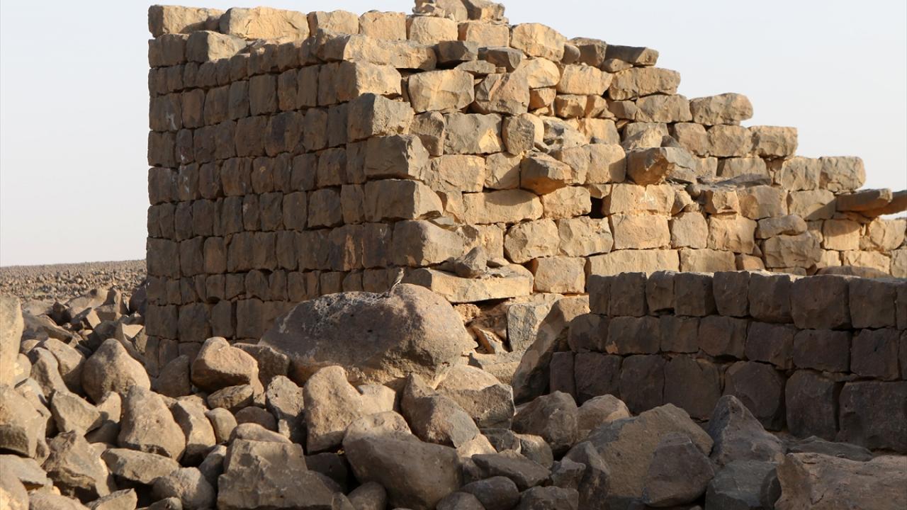 Emevi halifesinin av tutkusu