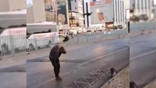İstanbul'da kargalar vatandaşlara zor anlar yaşattı