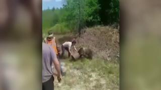 Rusya'da yavru ayının imdadına çevredekiler yetişti