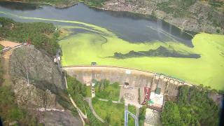 Sel önüne kattığını sürükledi, Çubuk-1 Barajı doldu