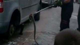 Denizli'de park halindeki araca yılan girdi