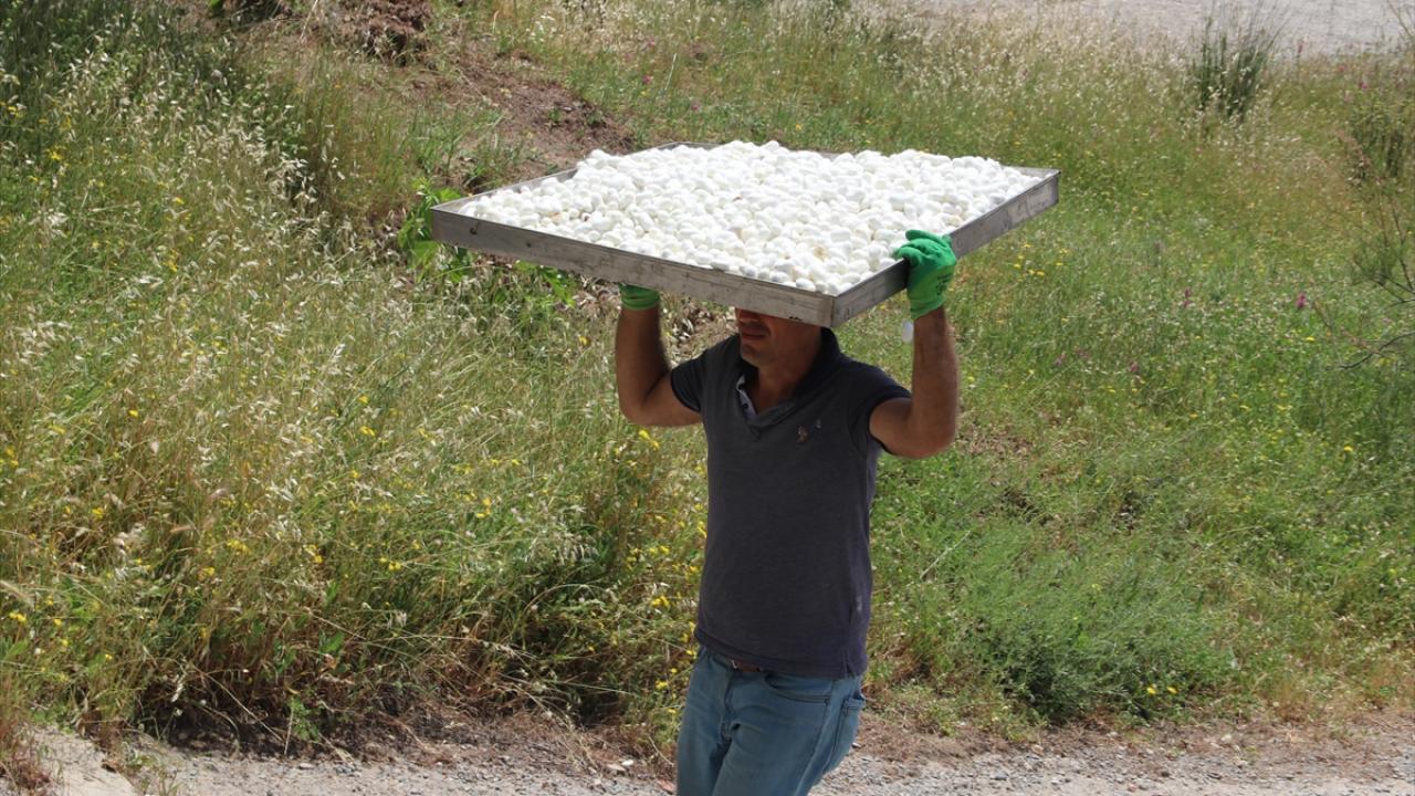 Tesiste 22 kişi çalışıyor