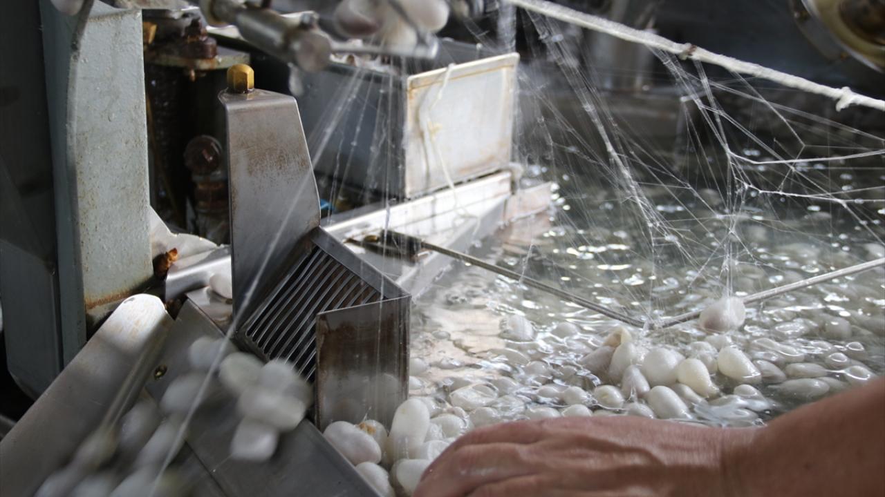 "İpek böceği üretim evlerinin yapılma süreci devam ediyor"