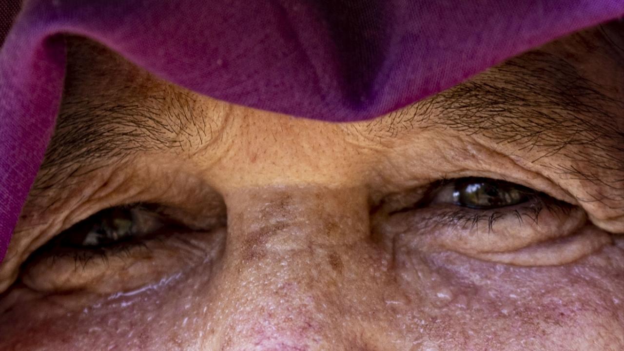 "Fidanlar evlat gibi gözümün önünde büyüdü"