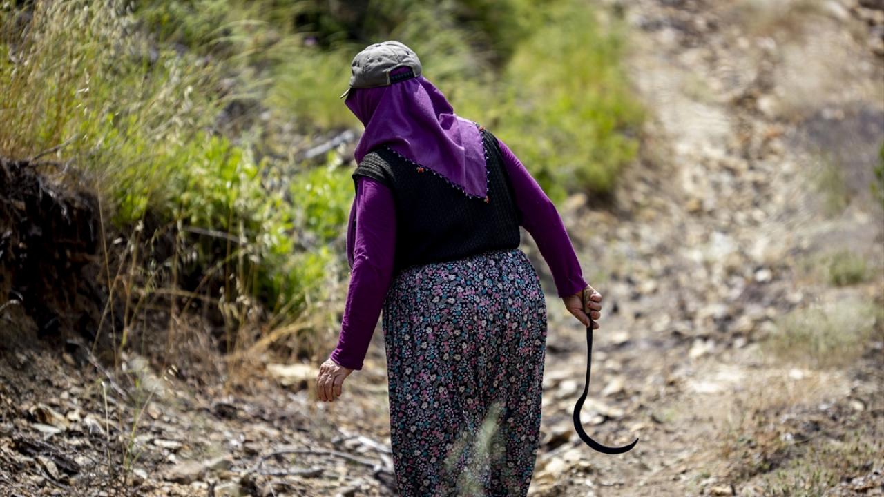 "Bu fidanlarda herkesin hakkı var..."