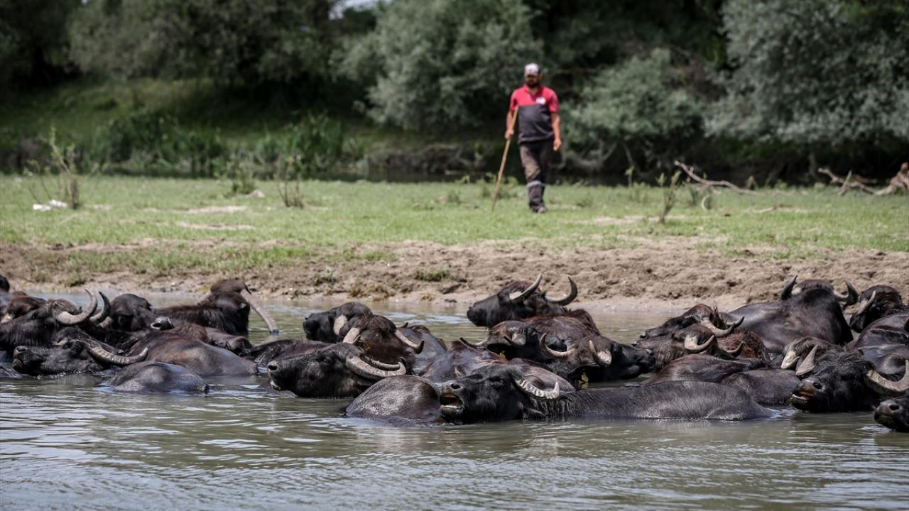 "Nesli tüketmemeye uğraşıyoruz"