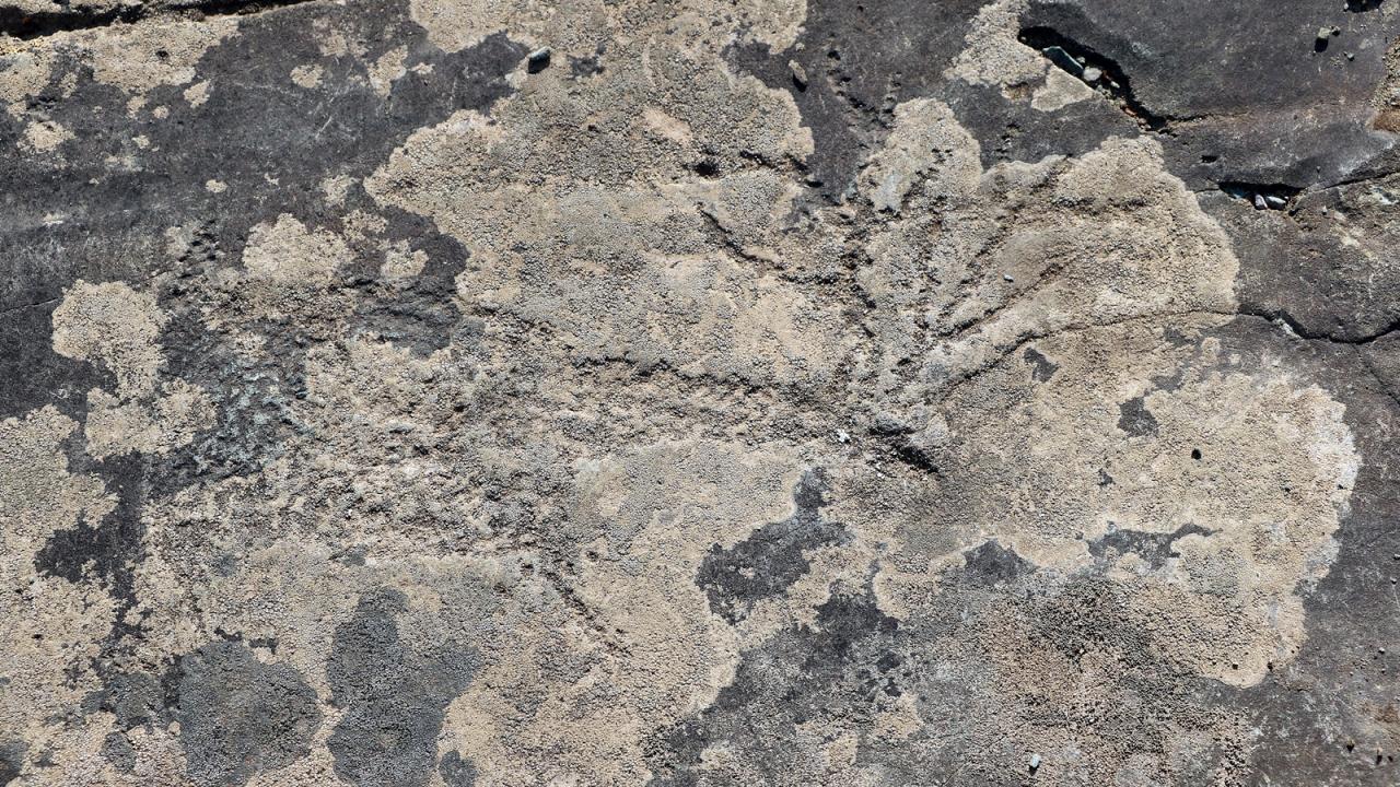 "KALBAK TAŞ KAYA RESİM ALANI 1880’DE KEŞFEDİLDİ"