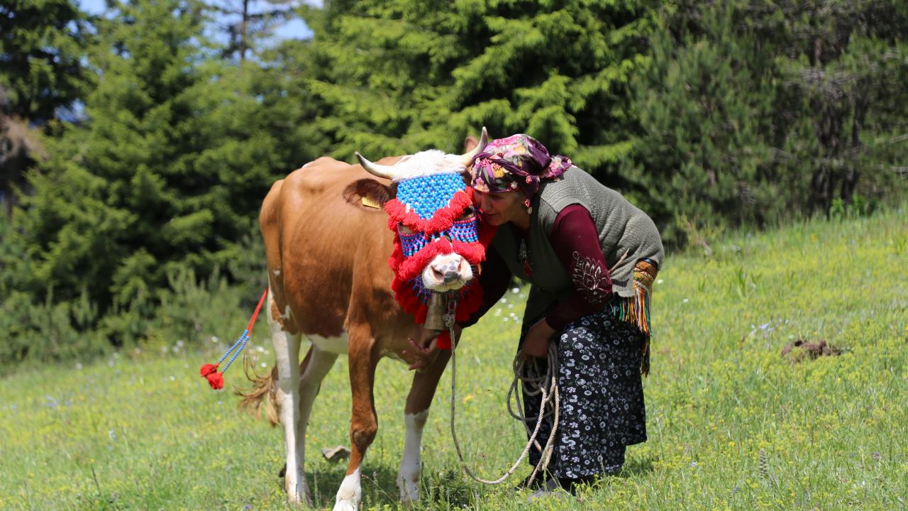 "Hasta yatağında da olsam ben yayla deyince ayağa kalkıyorum"