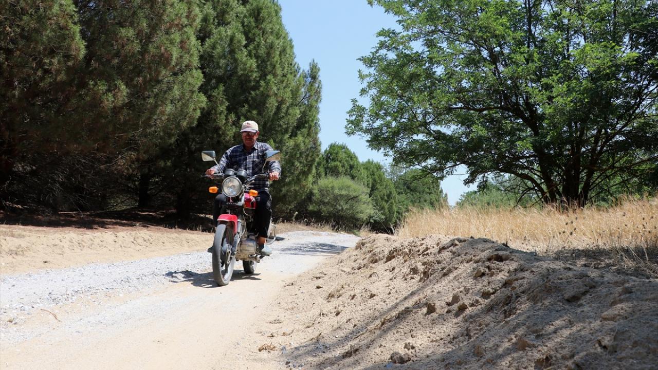 Yeşil dönüşümle değişen hayatlar