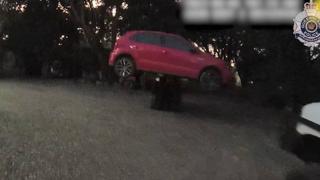 Avustralyalı adam, araba hırsızını forklift kullanarak tuzağa düşürdü