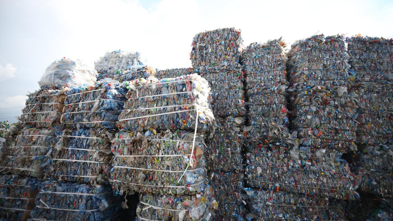 "İnsanoğlu ilk önce kaybettiğini kazanmak zorunda"