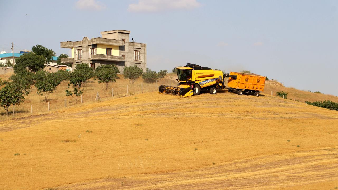 "İnşallah rekoltede yine Türkiye`de birinci sıraya yerleşeceğiz"