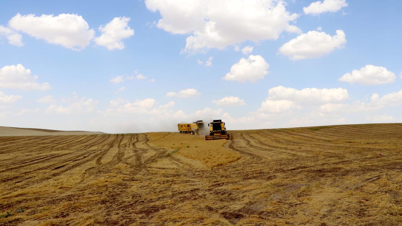Beklentinin üzerinde verim alan çiftçiler memnun