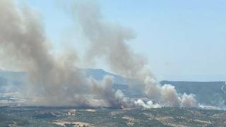İzmir'de orman yangını