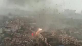 Çin'deki kasırga ağaçları kökünden söktü