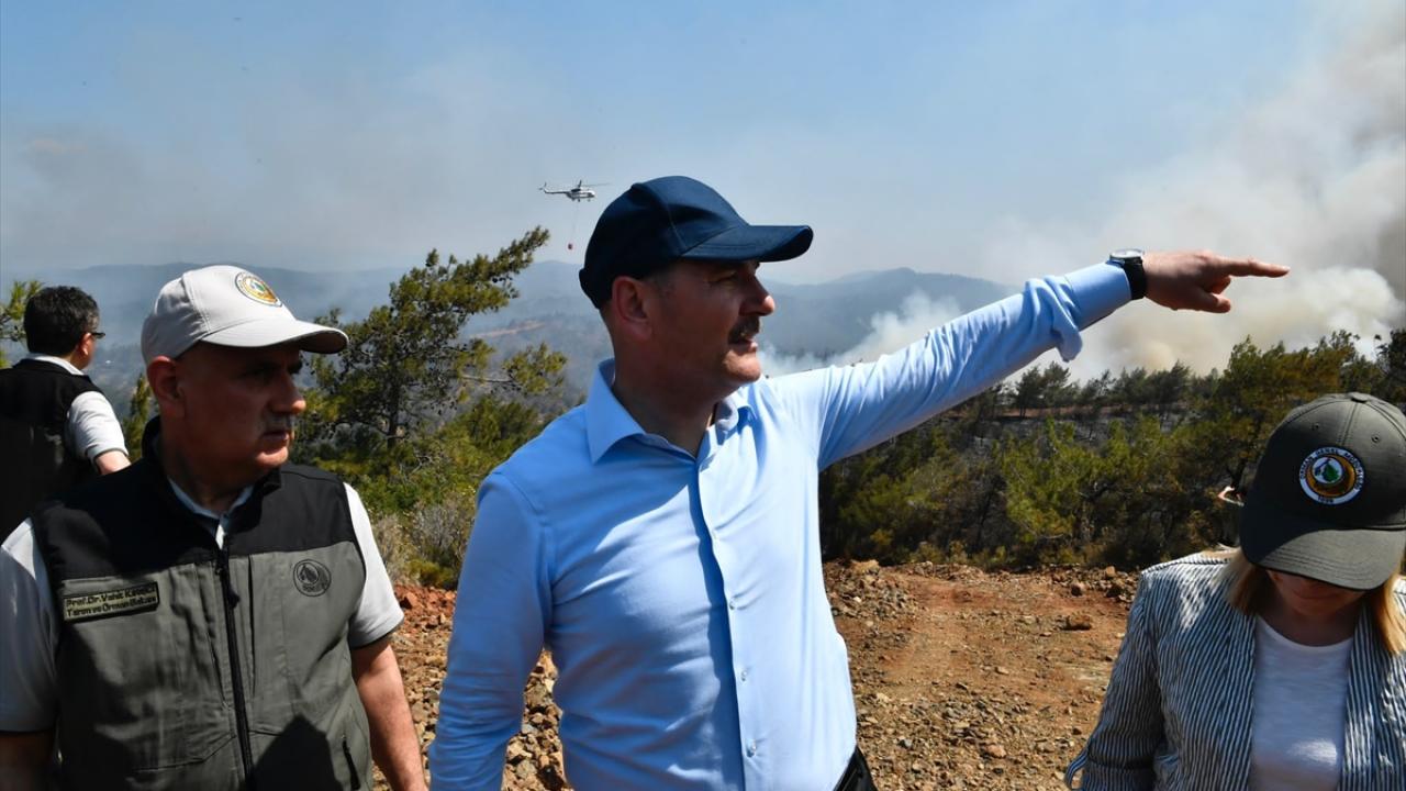 Bakan Soylu: Herkes bir tek ağacın kurtarılması için çaba sarf ediyor