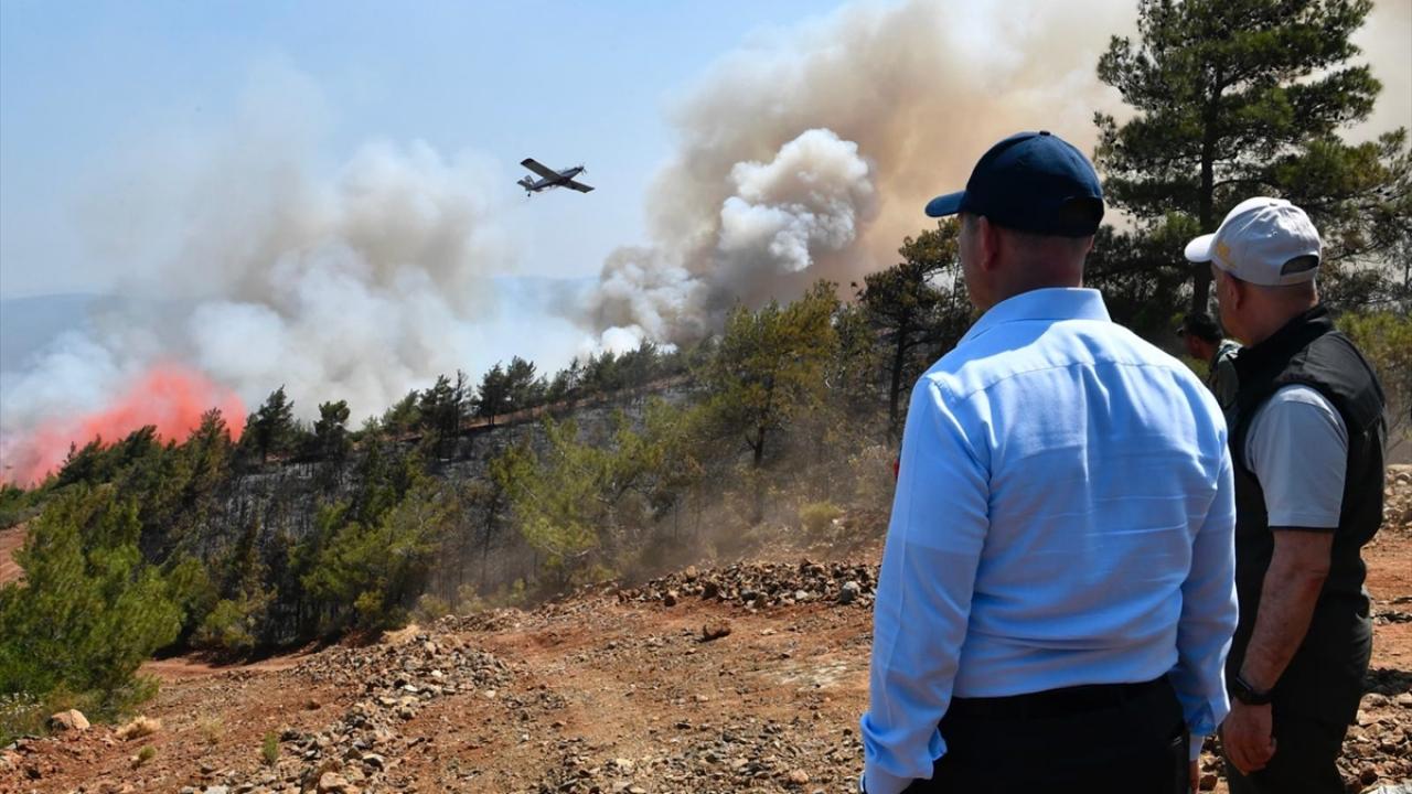 "Yangın başladığı andan itibaren sosyal medya şeytanları devreye girdi"