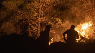 Alev savaşçıları canla başla mücadele ediyor