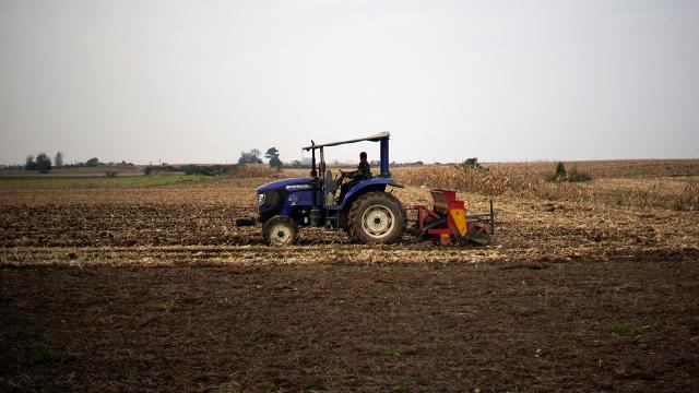 Çinde buğday karşılığı konut kampanyası