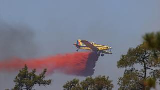 Marmaris'te orman yangını: Alevlere siper oldular