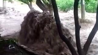 Kırıkkale'de sağanak sele dönüştü: Evleri su bastı