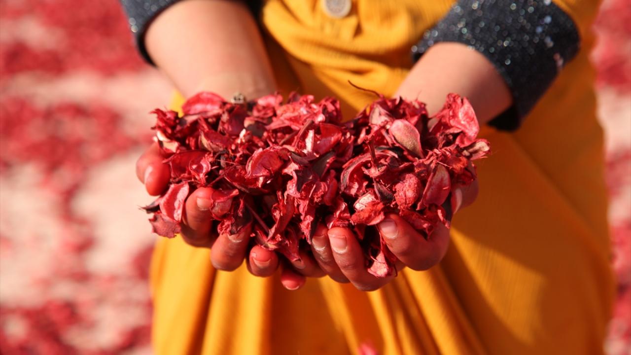 "Kadınlarımıza gelir kapısı açmış olduk"