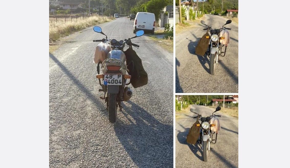 Güvenlik kameraları, fotokapanlar incelendi