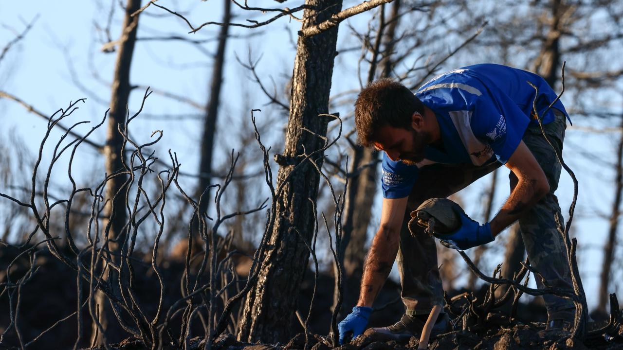 Çalışmalarda çok sayıda kaplumbağayı saklandıkları yerlerden çıkardıklarını vurgulayan Tığoğlu, şöyle konuştu: