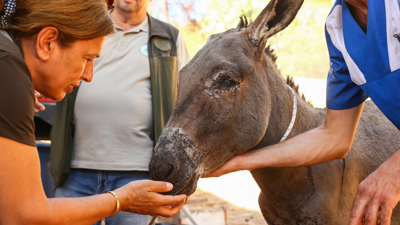 `Kucaklayarak araca bindirdik`