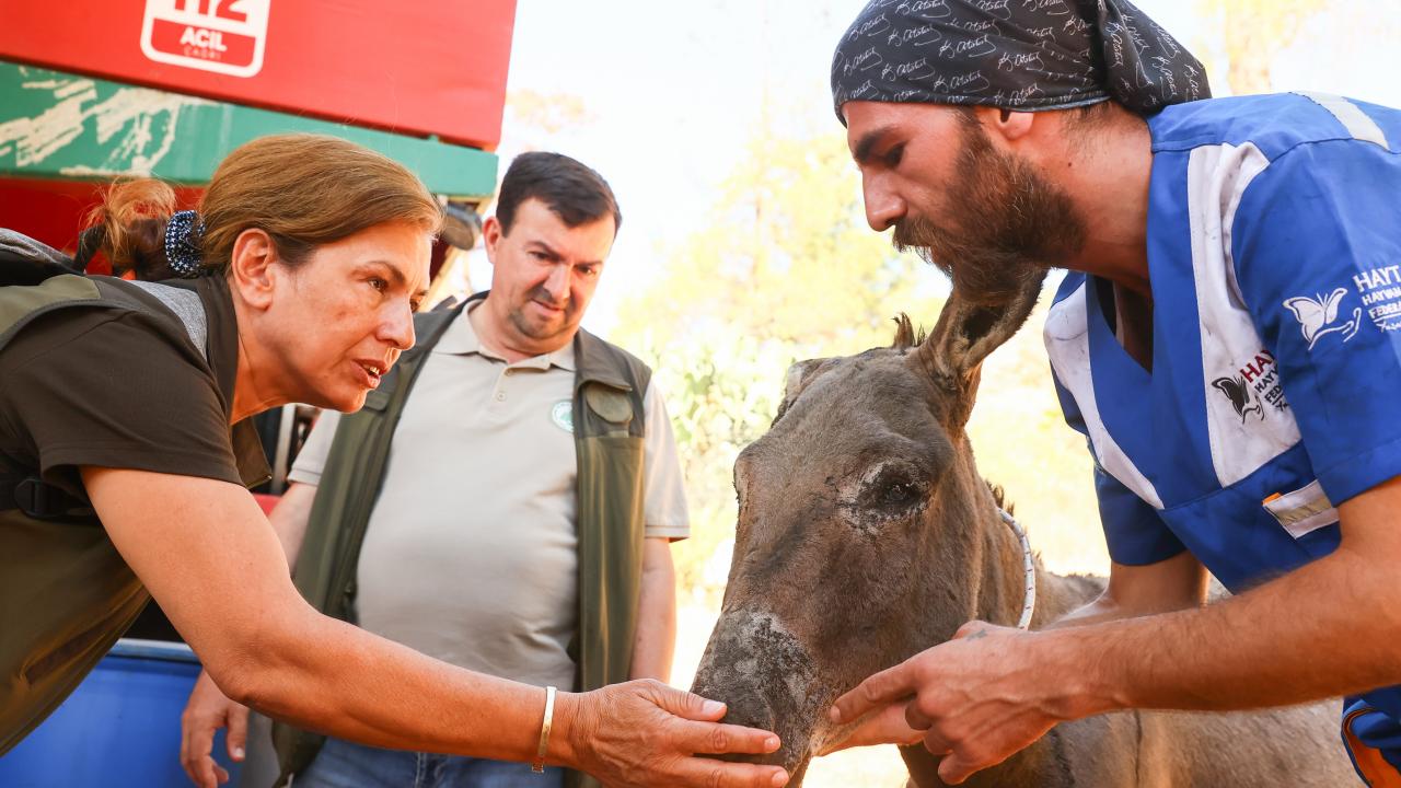 Tığoğlu, şöyle konuştu: