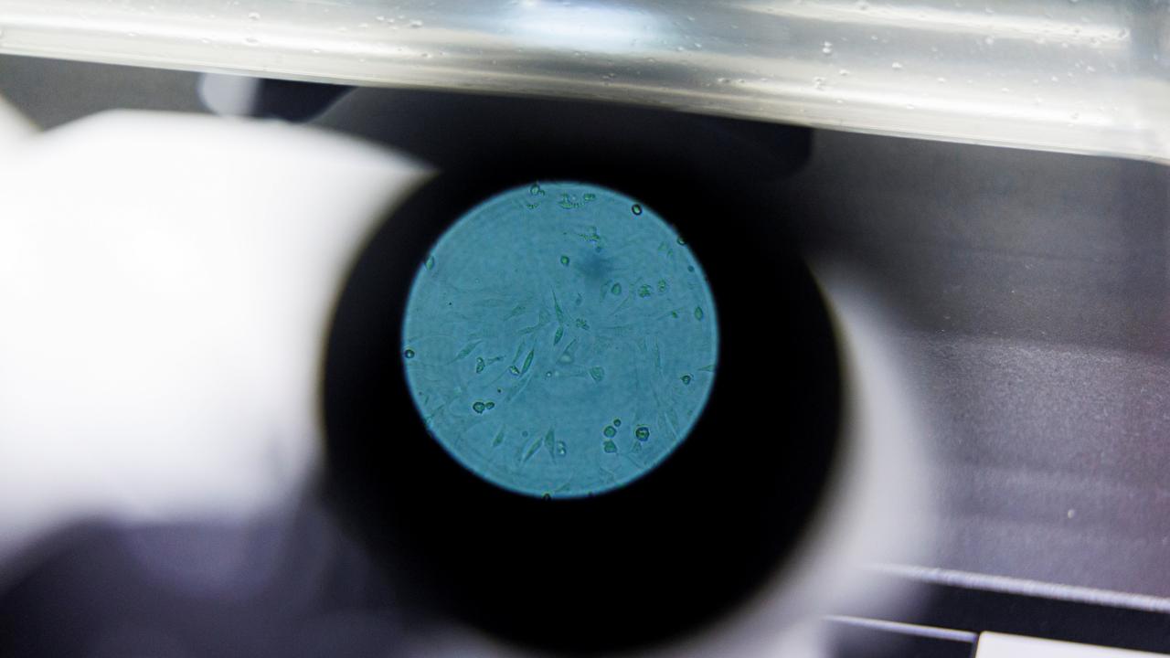 Hastalığın bulaşma yolları değişmiş olabilir