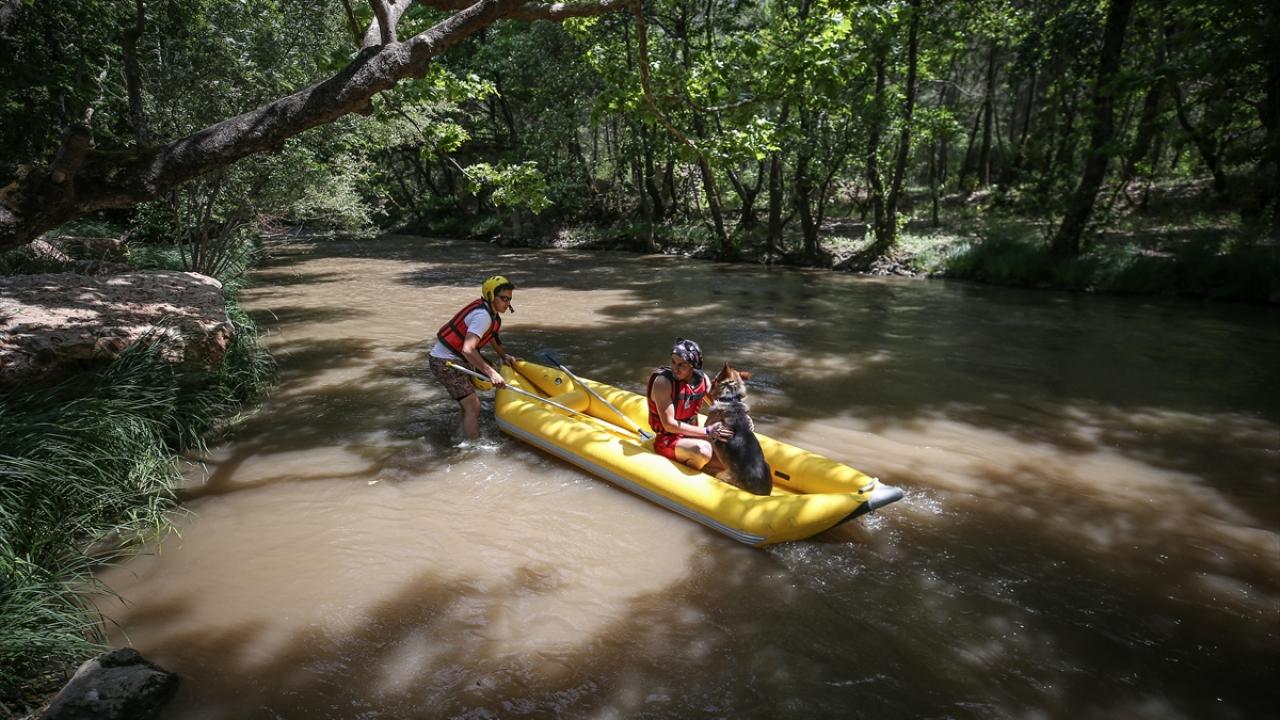 "Gelen misafirlerimiz onu arar oldu"