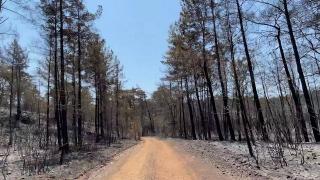 Marmaris yeşilden siyaha döndü