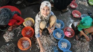 Pakistan'nın çocuk işçileri